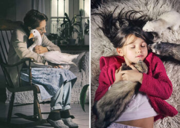 Heartwarming Photos of Humans and Animals by Diana Bagnoli