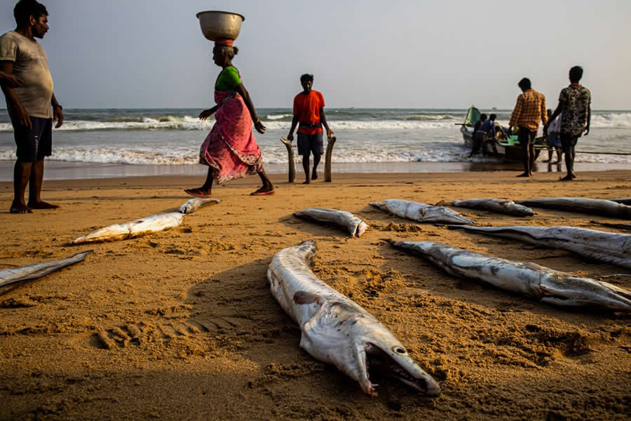 Indian Street Photography by Arin Dutta