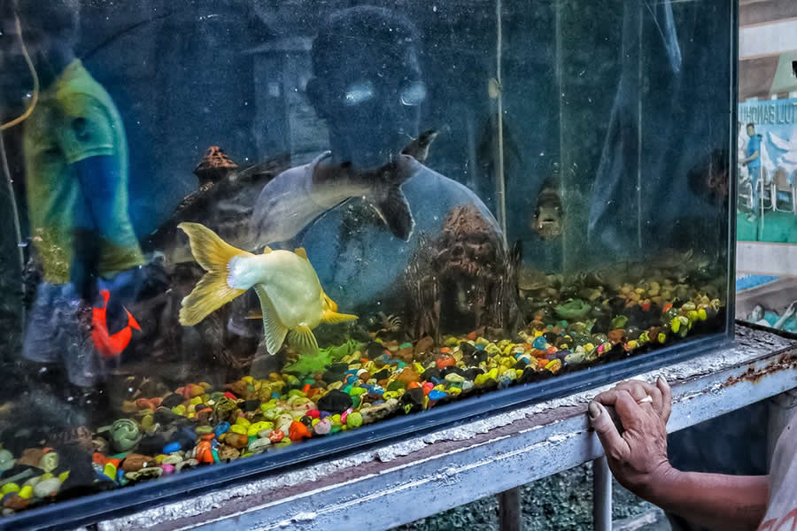 Indian Street Photography by Arin Dutta