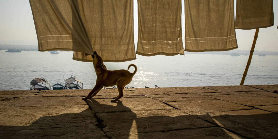 Indian Street Photography by Arin Dutta