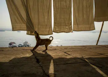 Indian Street Photography by Arin Dutta
