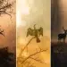 indian wildlife photography