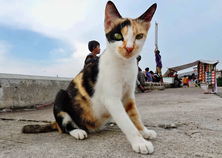 Indonesia Street Photography by Ijoel Mardi Marsono