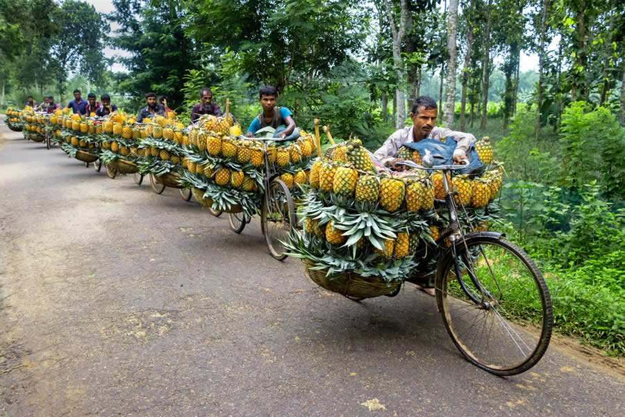 Documentary Photography by Joy Saha