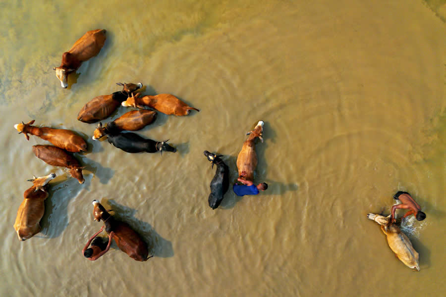 Documentary Photography by Joy Saha