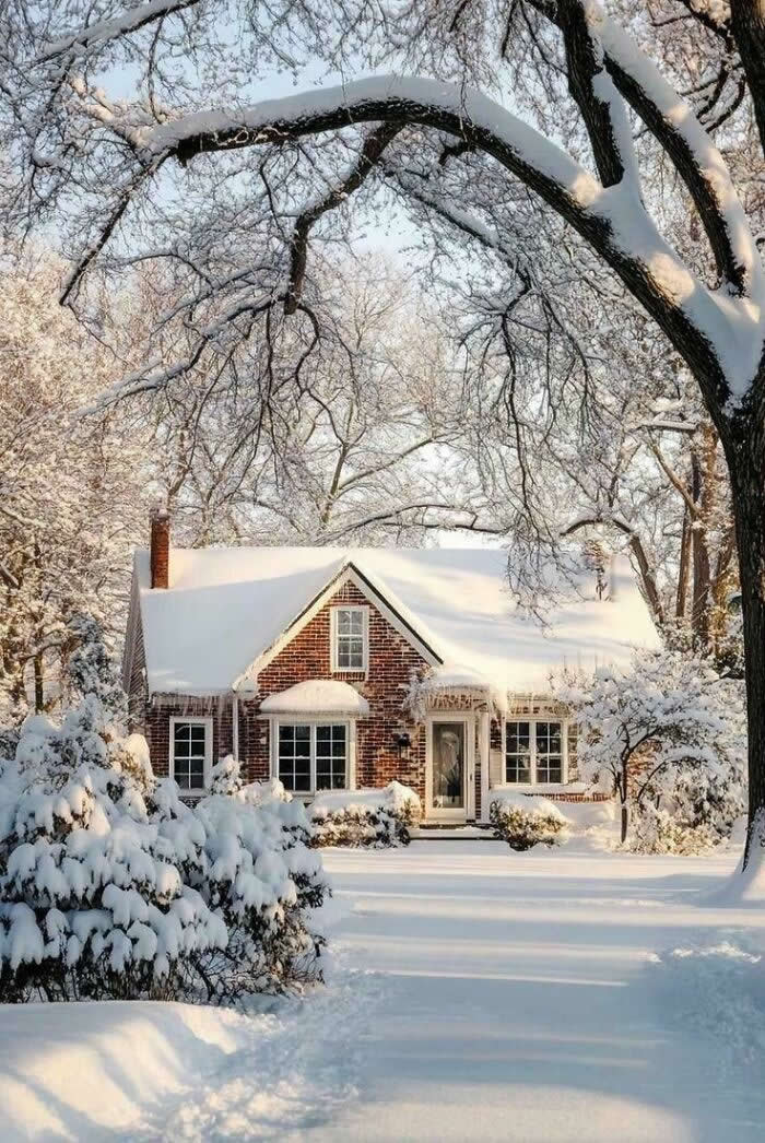 My Nana’s House - Mesmerizing Winter Cold Photos