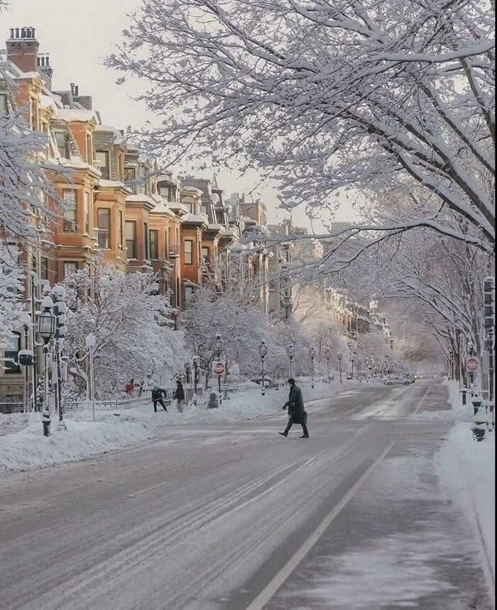 Boston Massachusetts - Mesmerizing Winter Cold Photos