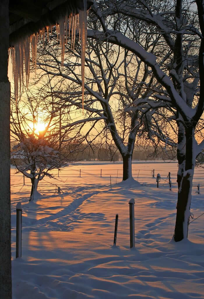Snow Sunrise! - Mesmerizing Winter Cold Photos