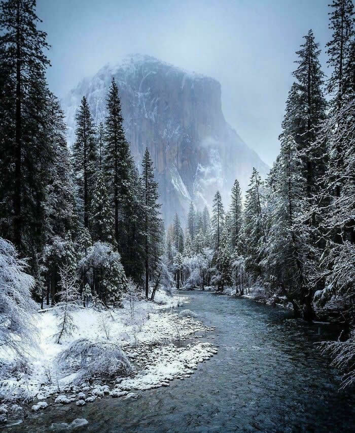 Snow In Yosemite - Mesmerizing Winter Cold Photos