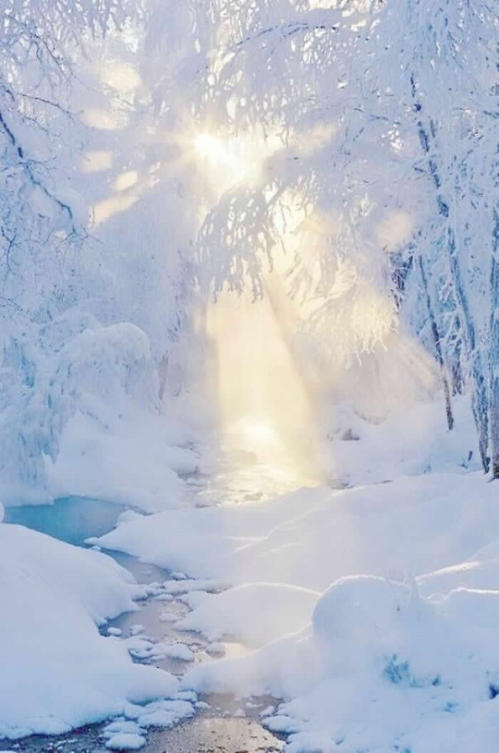 Very Beautiful - Mesmerizing Winter Cold Photos