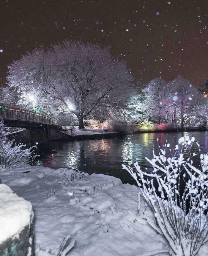 St. John’s Newfoundland And Labrador, Canada - Mesmerizing Winter Cold Photos