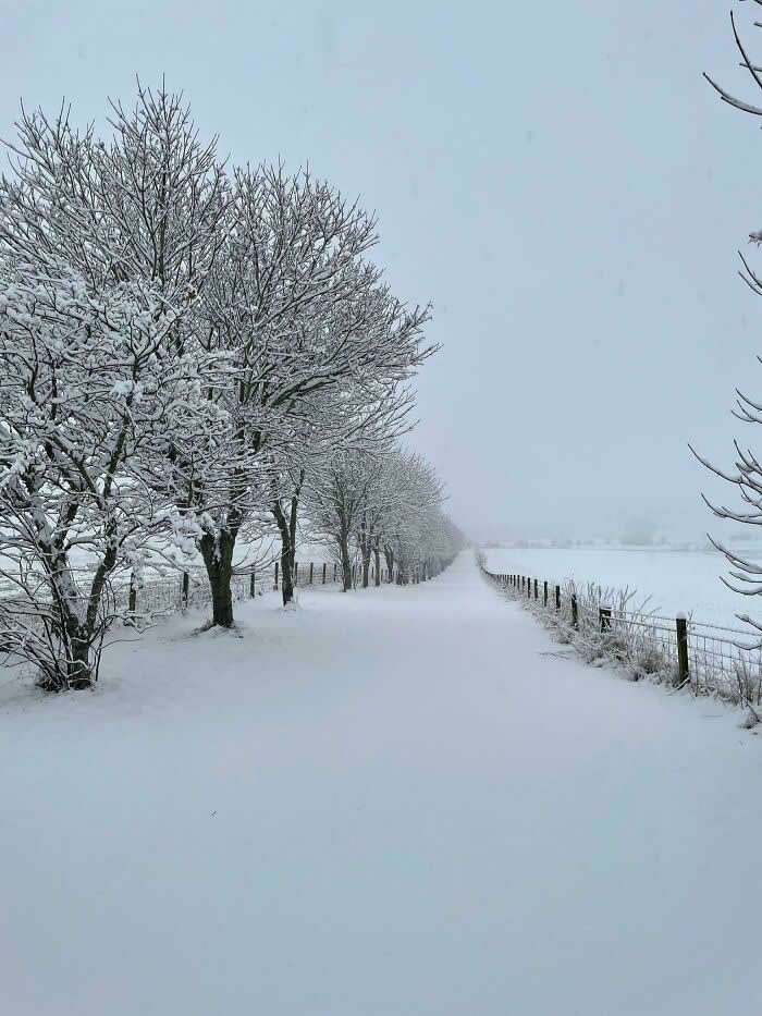 Snow Today In Aberdeenshire! - Mesmerizing Winter Cold Photos