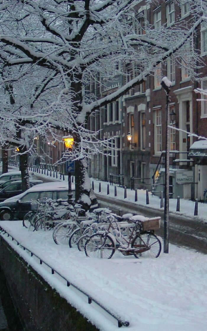 Netherlands - Mesmerizing Winter Cold Photos