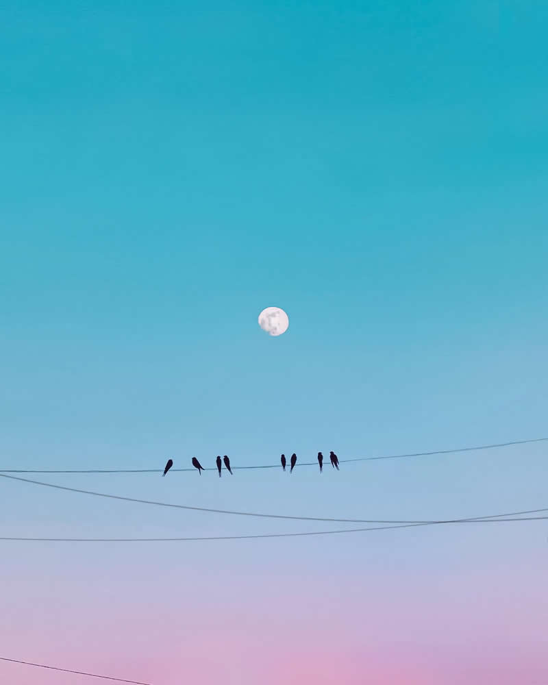 Minimalist Photos by Mahmoud Ibrahim Prove Simplicity Is Powerful