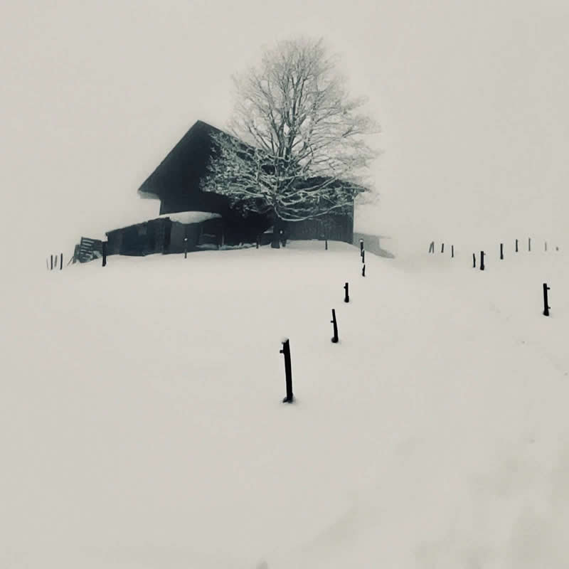 Whiteness as Witness by Adrianna Muffat Jeandet Wojcik - Minimalist Photography Awards 2025 Fine Art Winners