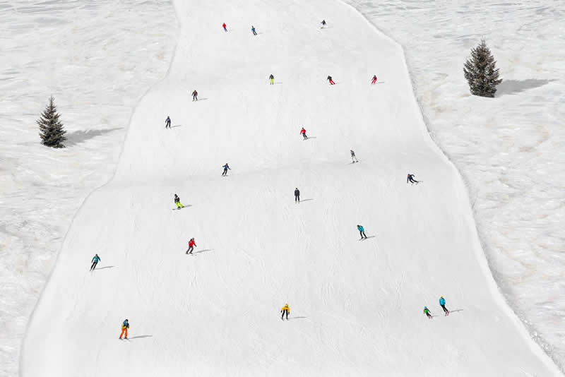 Two Firs and Twenty-one Skiers by Rosario Civello - Minimalist Photography Awards 2025 Fine Art Winners