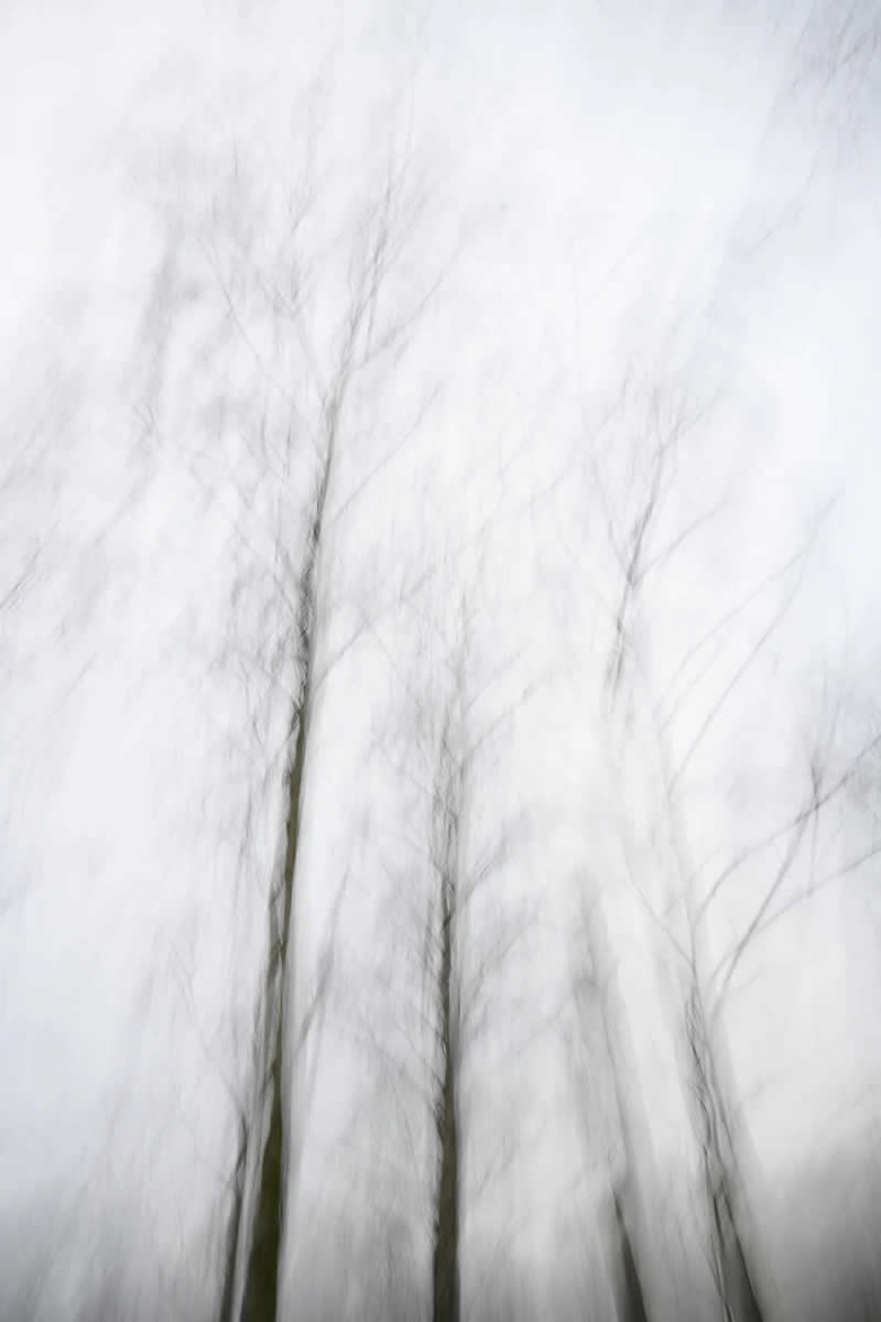When Icicles Hang By The Wall by Sue Oakford - Minimalist Photography Awards 2025 Fine Art Winners