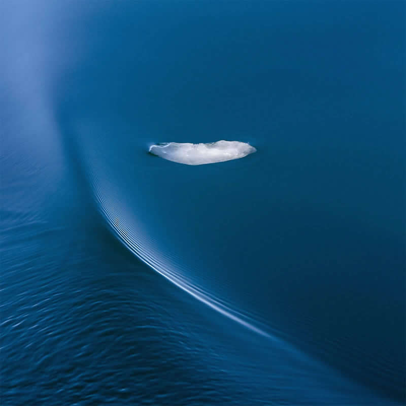 Arctic blues by Brigitte Bourger - Minimalist Photography Awards 2025 Fine Art Winners