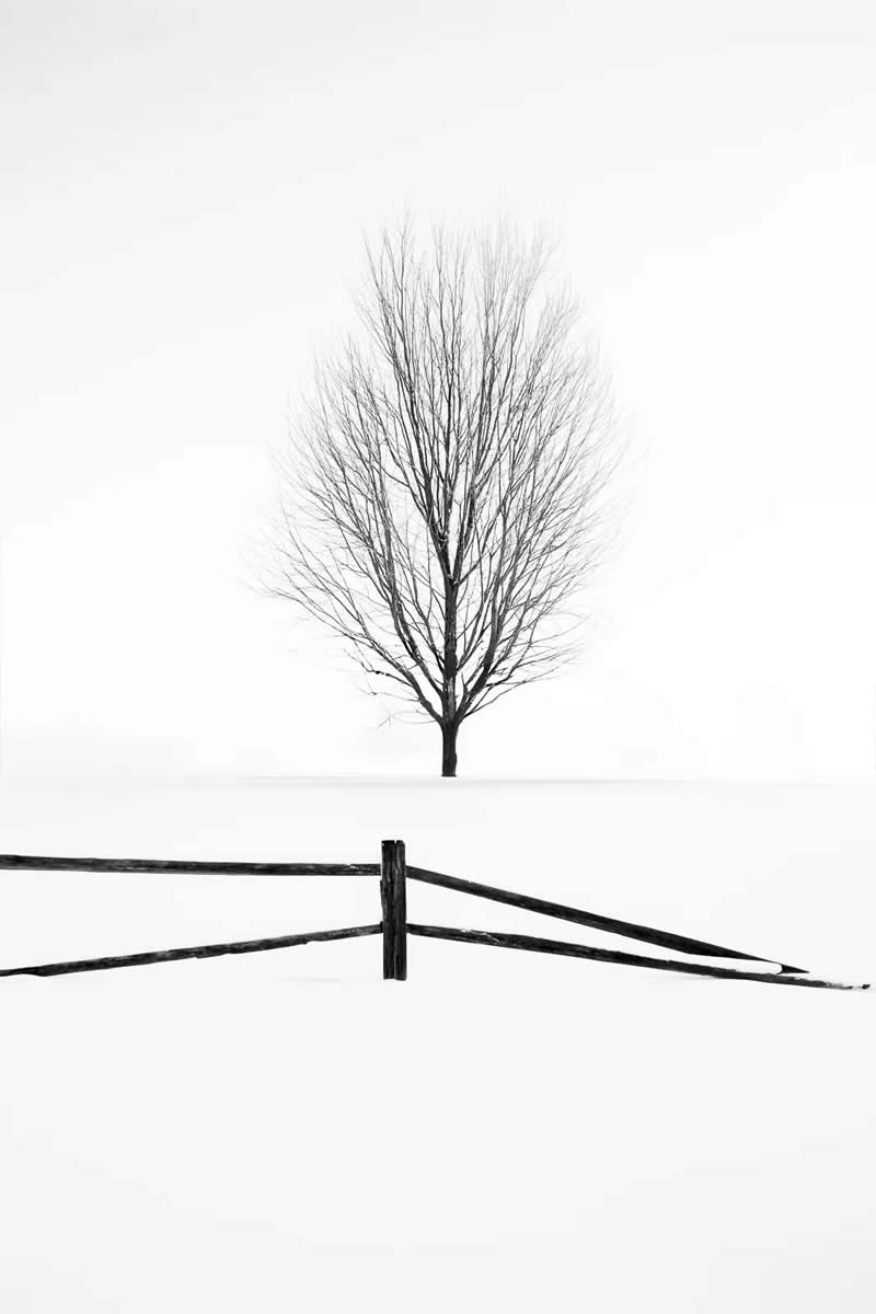 Sentinel by Jenn Mangino - Minimalist Photography Awards 2025 Fine Art Winners