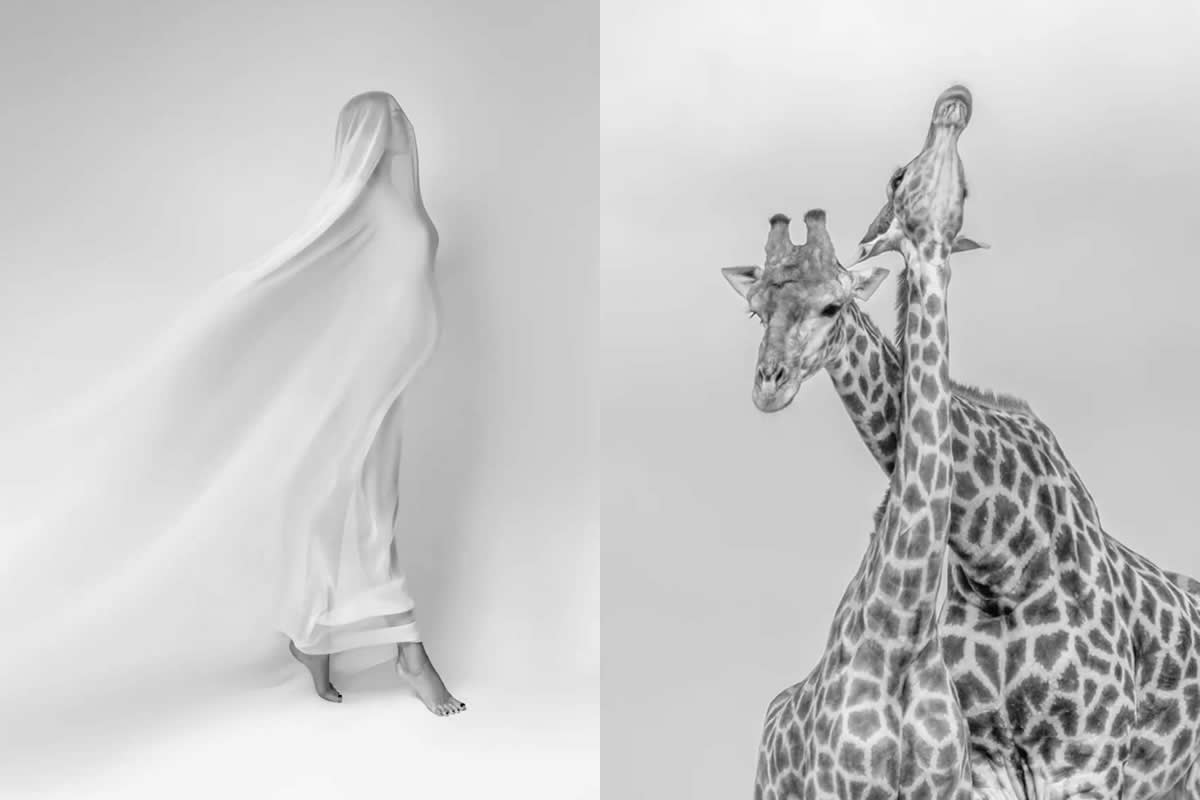 27 Award-Winning Fine Art Photos That Celebrate the Power of Minimalism