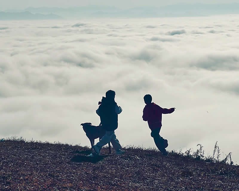 Happy Winter by Jensen Hu - Mobile Photography Awards Silhouette Winners