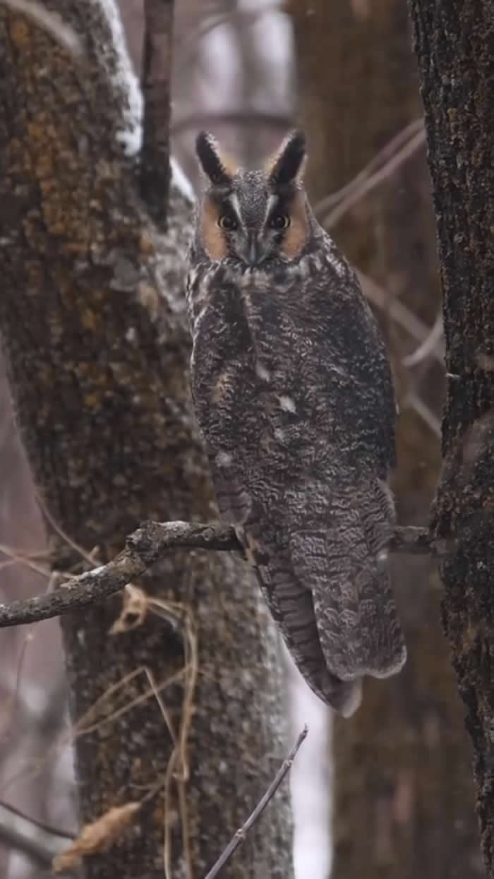 Video by Francois Potvin - Best Photos From the Nat Geo Your Shot Challenge