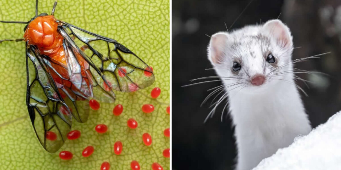 Best Photos From the Nat Geo Your Shot Challenge