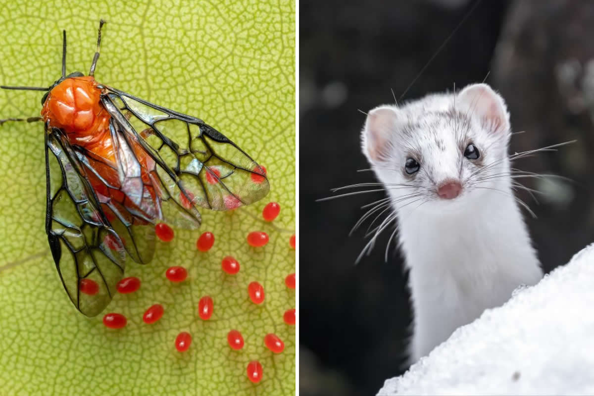 Best Photos From the Your Shot Challenge, Chosen by a Nat Geo Photo Editor