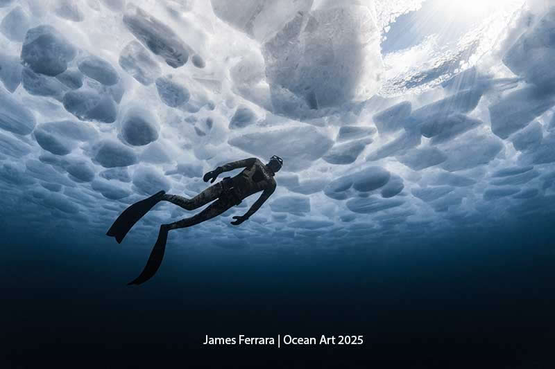 Cold Water - 1st Place: One Way Out by James Ferrara - Location: Tobermory, Ontario Canada (Lake Huron) - Ocean Art Contest 2025 Winners