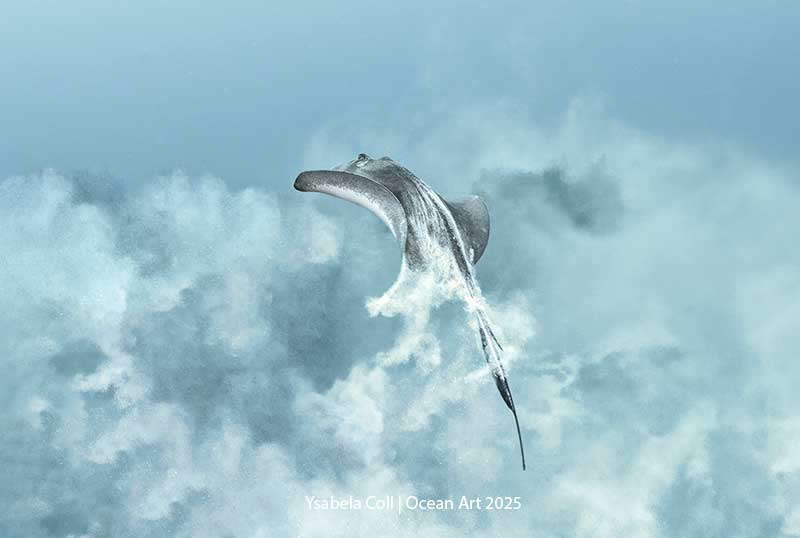 Underwater Digital Art - 3rd Place: Vanishing Act &ndash; Southern Stingray by Ysabela Coll - Location: Mexico, Cozumel, Francesa Reef - Ocean Art Contest 2025 Winners