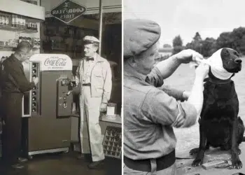 powerful historical photos