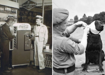 Powerful Historical Photos