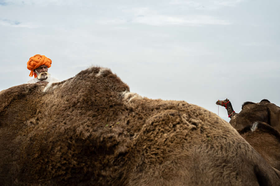 Stunning Photos of Pushkar Mela by Salih KM