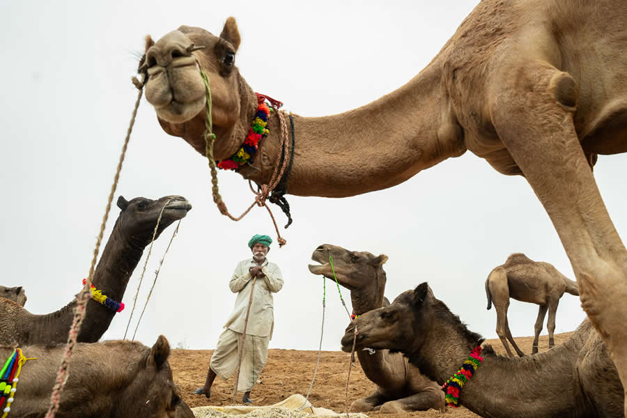 Stunning Photos of Pushkar Mela by Salih KM
