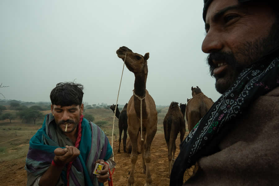 Stunning Photos of Pushkar Mela by Salih KM