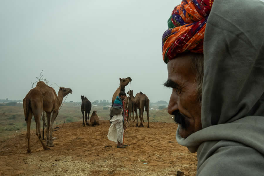 Stunning Photos of Pushkar Mela by Salih KM