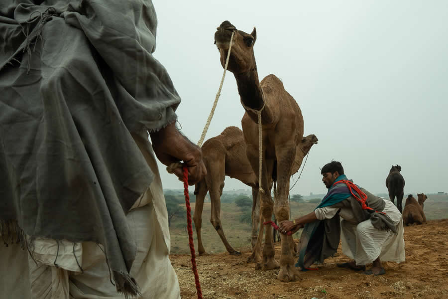 Stunning Photos of Pushkar Mela by Salih KM