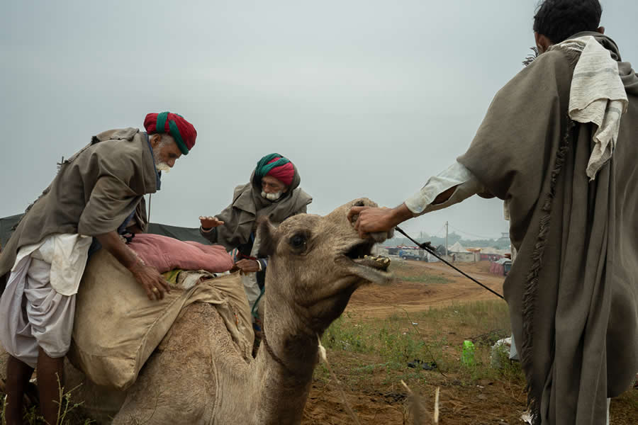 Stunning Photos of Pushkar Mela by Salih KM