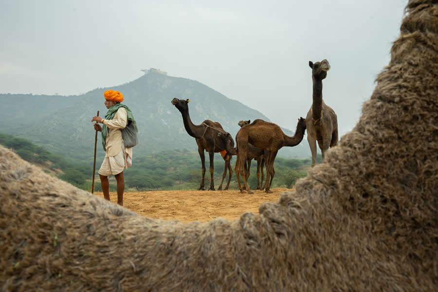 Stunning Photos of Pushkar Mela by Salih KM