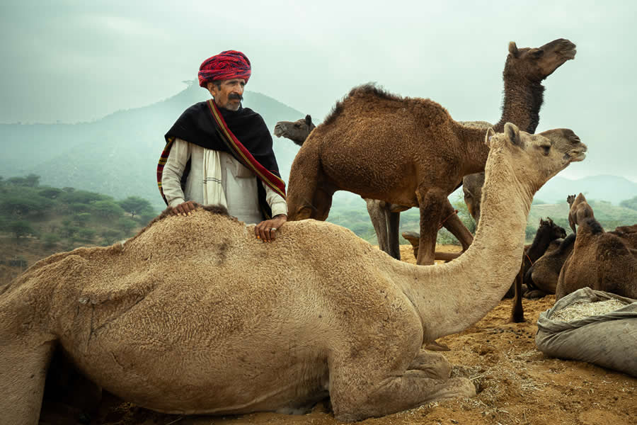 Stunning Photos of Pushkar Mela by Salih KM