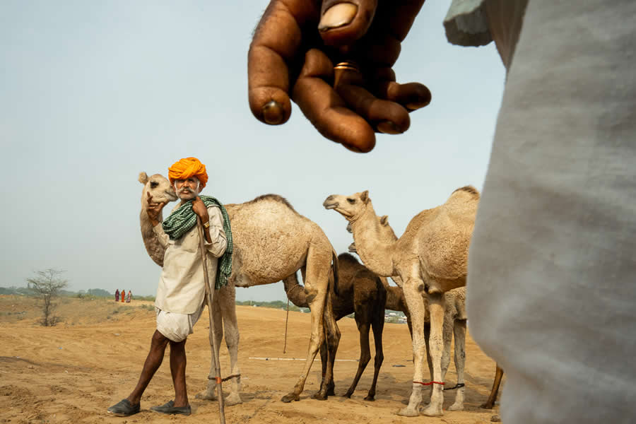 Stunning Photos of Pushkar Mela by Salih KM
