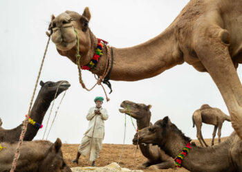 Stunning Photos of Pushkar Mela by Salih KM