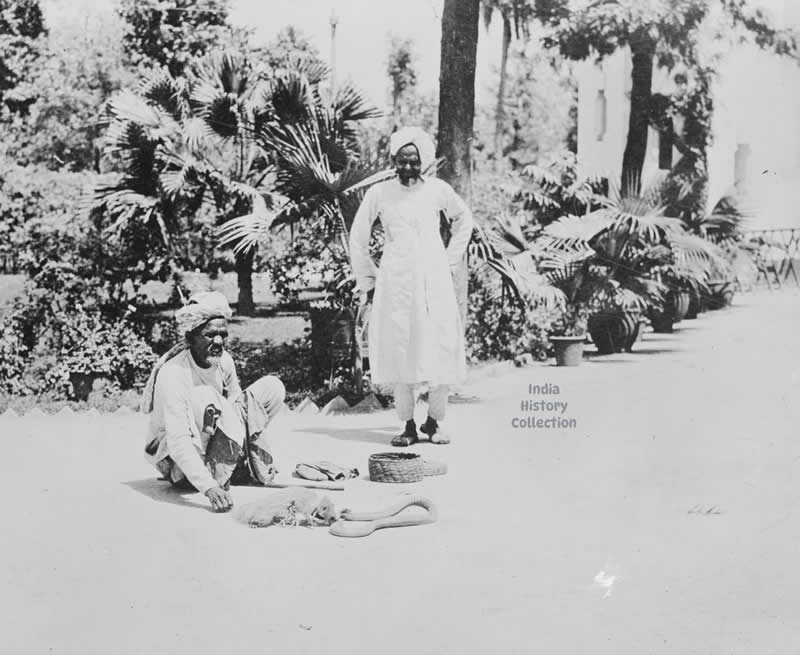Cobra and Mongoose, Lucknow, India— 1920s - Rare Historical Vintage Indian Photos