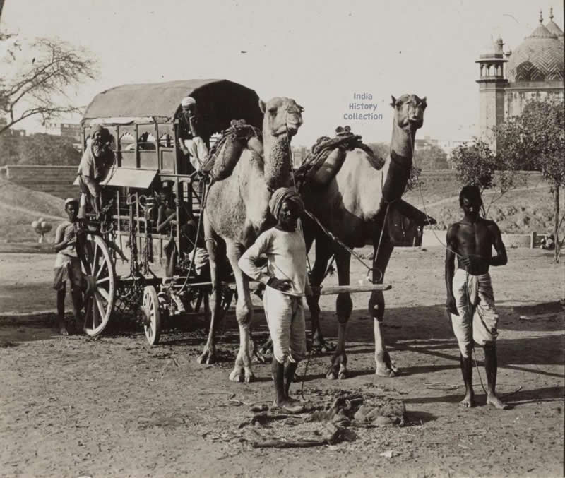 Double-Decker Camel Wagon, Agra— 1900 - Rare Historical Vintage Indian Photos