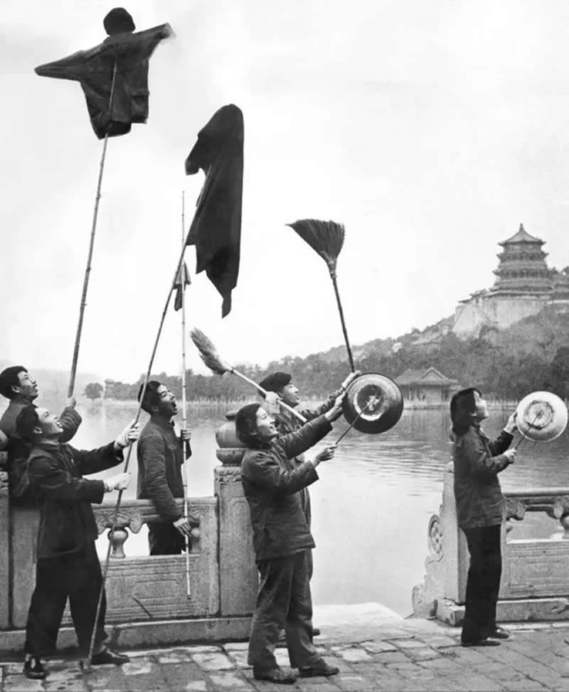 People scaring sparrows during the Four Pests Campaign. Summer Palace, Beijing, China, circa 1958. - Rare Historical Photos That Bring Forgotten Moments