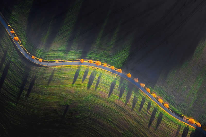 Autumn Road by Stefan Liebermann - reFocus Photographer of the Year Awards Aerial Photography Winners
