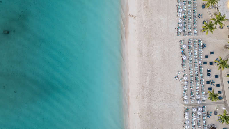 One Shark by Ricky Beron - reFocus Photographer of the Year Awards Aerial Photography Winners
