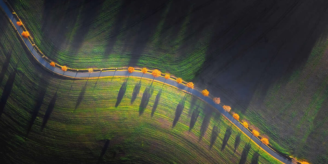 reFocus Photographer of the Year Awards Aerial Photography Winners