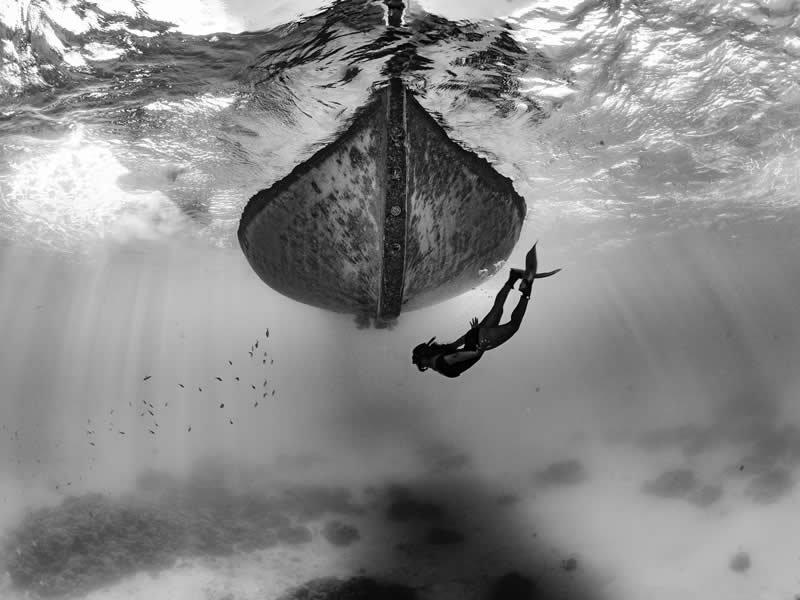 Yara by Matt Jacobs - 2025 reFocus Photographer of the Year Awards Underwater Winners