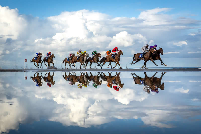 Equestrian - Gold: Equine Reflection by Morgan Treacy - 2026 World Sports Photography Awards Winners